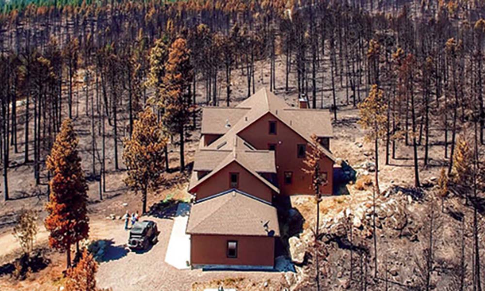 Houses in a burnt forest
