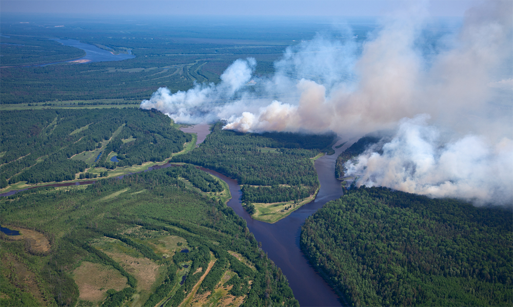 Wildfire Impact on Water Resources