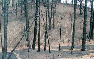 Wildfire Soil Erosion Control