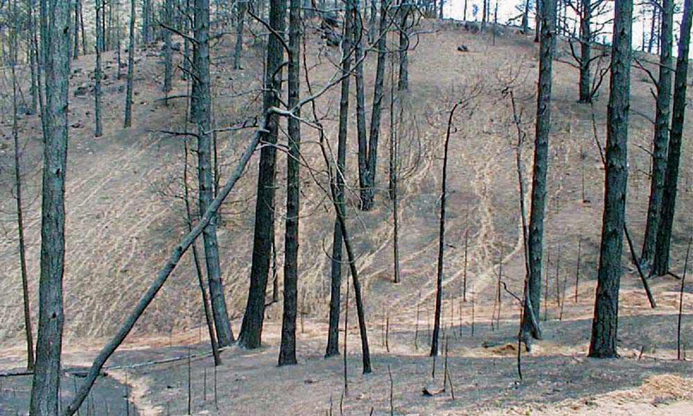 Wildfire Soil Erosion Control