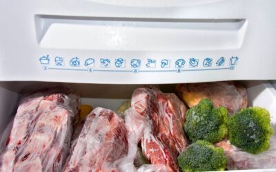 What to Do if Your Freezer Stops Working